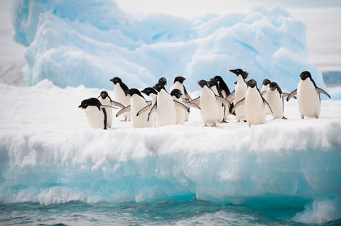 How Arctic Bay Is Supporting the X90X Expedition to the South Pole